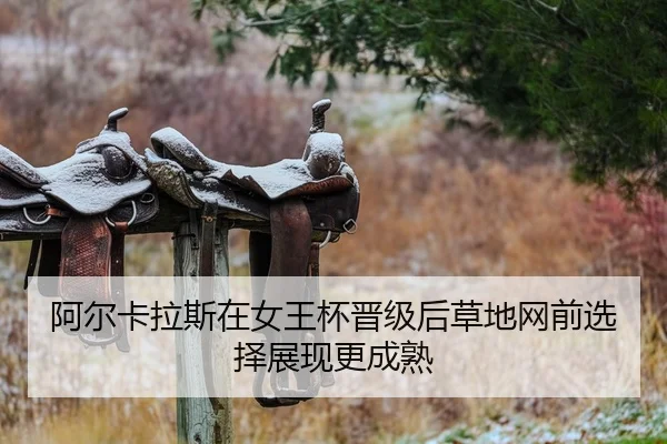 a-er-ka-la-si-zai-nv-wang-bei-jin-ji-hou-cao-di-wang-qian-xuan-ze-zhan-xian-geng-cheng-shu-2-381.jpg