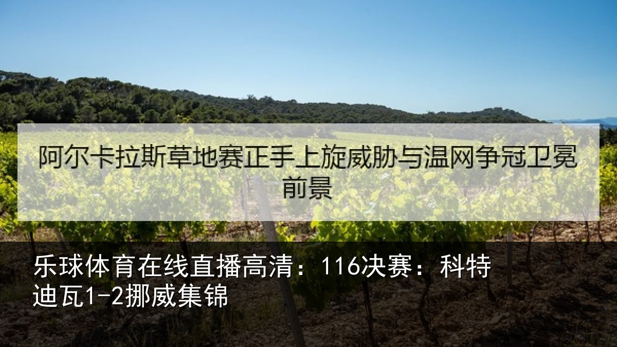 乐球体育在线直播高清：116决赛：科特迪瓦1-2挪威集锦