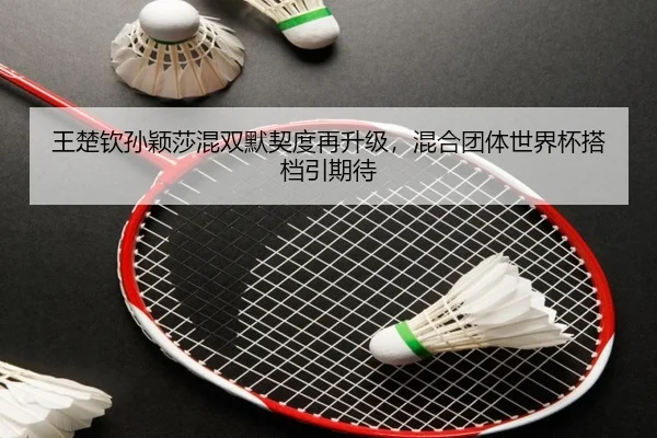 wang-chu-qin-sun-ying-sha-hun-shuang-mo-qi-du-zai-sheng-ji-hun-he-tuan-ti-shi-jie-bei-da-dang-yin-qi-dai-3-980.jpg