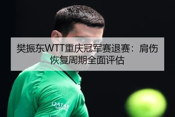 樊振东WTT重庆冠军赛退赛：肩伤恢复周期全面评估