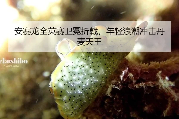 安赛龙全英赛卫冕折戟，年轻浪潮冲击丹麦天王