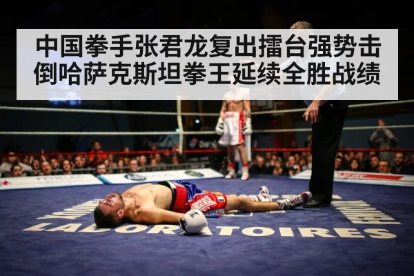 boxer knockout
